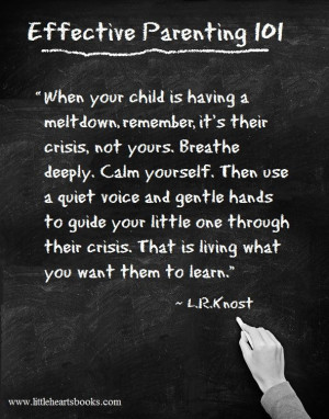 When your child is having a meltdown, remember, it's their crisis ...