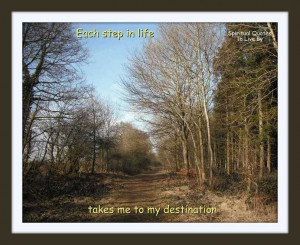 Takes Me To My Destination