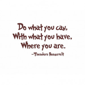 President Theodore Roosevelt quote