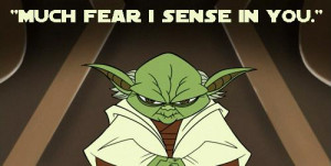 Fear is the path to the dark side. Fear leads to anger. Anger leads to ...