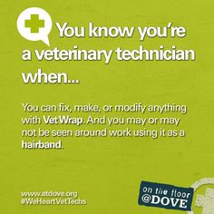 You know you're a Veterinary Technician when... This also applies to ...