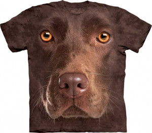 Chocolate Lab Face [1035500] - £21.49 : The Mountain T Shirts UK ...