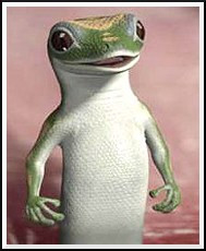 Geico Quote