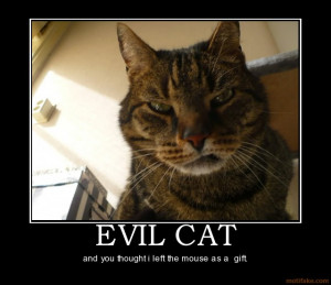 EVIL CAT - and you thought i left the mouse as a gift.