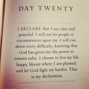 The declaration | via Tumblr - pinned from Sandra Rocco's board