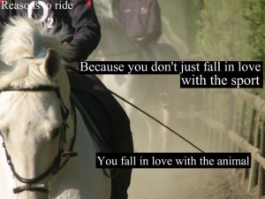 You fall in love with the animal