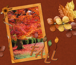 Fall Quotes Wallpaper - Pretty Fall Tree Background Preview