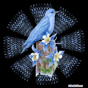 God's blue bird of happiness for Berni :) - god-the-creator Fan Art