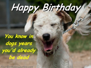birthday, quotes, wishes, funny, humor, sarcastic, smart, ass, age