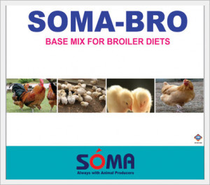 Soma bro for broiler introduction soma bro feeds with recent
