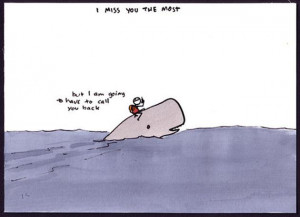 Funny Animal Pictures: Whale Special (20 Pics)