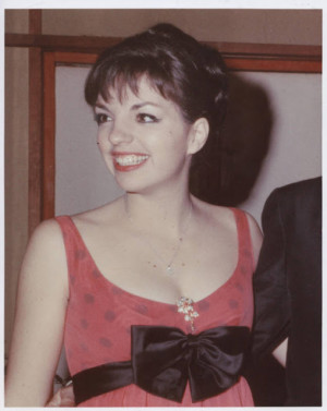 Liza Minnelli Quotes