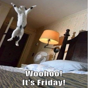 Woohoo It's Friday Pictures, Photos, and Images for Facebook, Tumblr ...