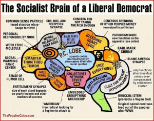 Socialist brain of a liberal Democrat.