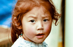 An Asian Ginger With A Soul From Tibet