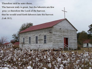 Therefore said he unto them,