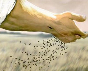Sowing Seeds of Love In Faith