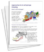 Contact us to discuss your project in more detail