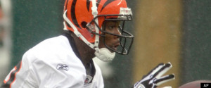 Bengals' Jerome Simpson And Anthony Collins busted for Marijuana ...