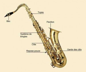Saxophone Tenor Proel Save...