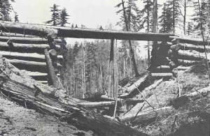 Thread: Logging? Railroads?