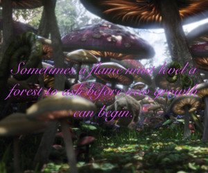 Splintered Book Quotes