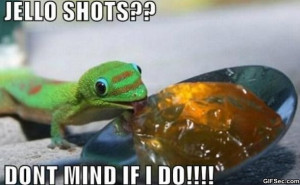Jello Shots - Funny Pictures, MEME and Funny GIF from GIFSec.com