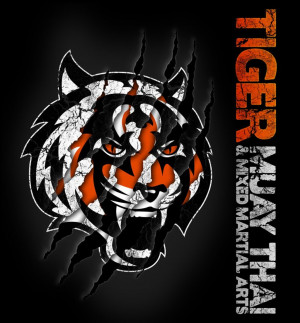 ... That? An Interview With Tiger Muay Thai Owner Will McNamara: Part One