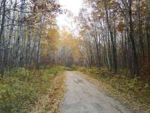 Foothills & Spider Lake, MN-wheeling_at_spider_fall_08_2.jpg