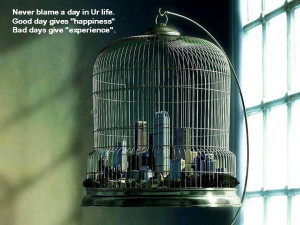 Uploaded to Pinterest