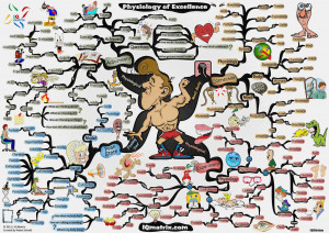 Mind Body Connection and Quotes