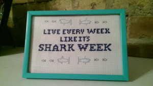 30 Rock Tracy Jordan funny quote finished cross stitch, 