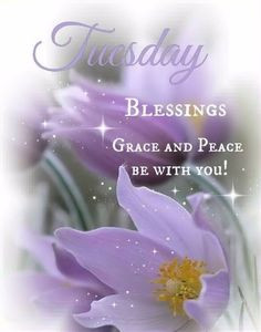 ... week blessings tuesday tuesday quotes happy tuesday tuesday quote More