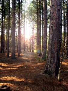 ... prayer and spirituality and love is now and again to visit that inner