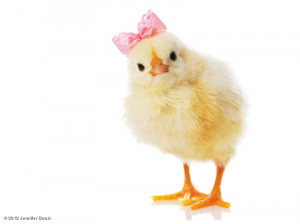 Jennifer Beals' photo: And now a cute chick with a hair bow.