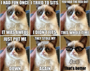 Grumpy Cat has amassed nearly 1 million Twitter followers and memes ...