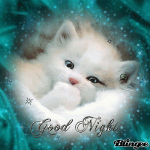 Good Night my dear friend