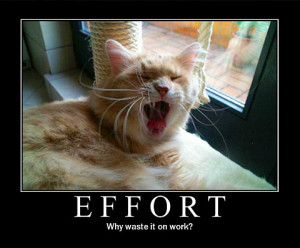 Anyway, have a good Monday everyone and hope these cats can motivate ...