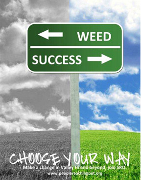 Choose Your Way: Weed or Succeed