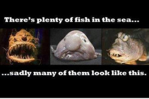 There’s Plenty of Fish In the Sea ~ Funny Quote