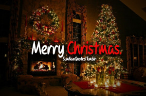 christmas, lights, sumnanquotes, tree