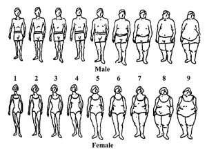 Understanding the quest for the “perfect body”: The links between ...