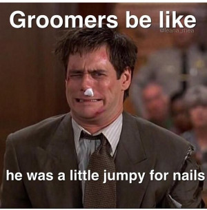 Via The Groomers Profit Generating Kit