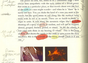 ... on page 237, with only a section break in between its two occurrences