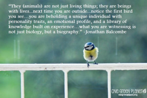 14 Quotes Every Animal Advocate Should Know By Heart - I LOVE THESE!!!
