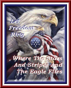 patriotic freedom Image