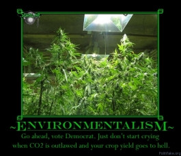 environmentalism-weed-environmentalism-weed-marijuana-political-poster ...