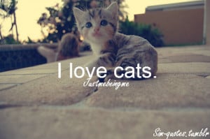 Love Cats Because I Love My Home And After A While They Become Its ...