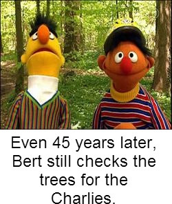 Sesame Street -Bert and Ernie have flashbacks