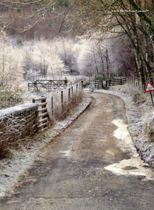 Frosty Morning, Scotland~